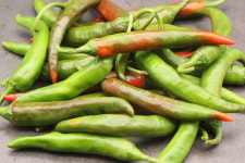 신화정 청양 고추채 장아찌 150g : 한정식신화정