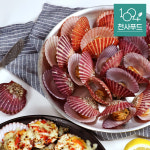 [산지직송] 통영 당일조업 홍가리비 3kg : 천사푸드