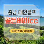 골든베이cc 씨사이드뷰 충남태안골프장 : 블루밍숍