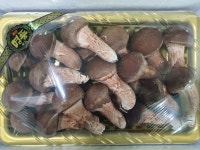 [원탑] 산지직송 직접 수확 맛있는 참송이버섯 선물세트 500g, 1kg 명절 추석 설 좋은날 : 원탑농원 참송이버섯