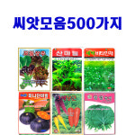 씨앗모음 500가지 25년 : 제일농약사