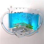 LED 개미집 11.5X11.5X11.5cm 세트 아크릴 키우기 하우스 만들기 관찰 키트 곤충 사육장 여왕개미 : 지야씨Mall