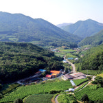 문경 오미자청 원액 엑기스 1500ml 2병 오랜전통1996년 : 자연미소