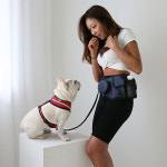 DP리얼펫 포인원 옥스포드 힙색 가방 강아지 지하철 포대기 외출 산책 허리 리드줄 슬링백 : 러브펫츠