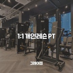 [인천용현동/그레이짐] 1:1 개인레슨 PT : 그레이짐
