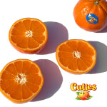 만다린귤 10키로 5키로 1kg 큐티스 만다린 썬키스트 미국 큐티 cuties peelz : 바로보담