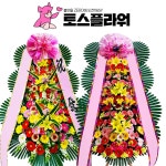분당 행사 기념식 축하화환 꽃배달 : 화랑꽃배달