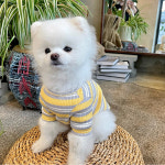 티아라펫 곰와펜 줄무늬 티셔츠 강아지옷 애견의류 : 허니수니