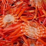 속초 울진 박달홍게 3kg(10미 내외) 붉은대게살 택배 특A급 수율보장 : supama