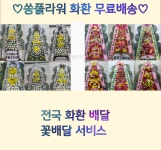 서울 일원동 화환배달 일원동 화환배송 일원 무료꽃배달 : 쏭플라워 무료꽃배달