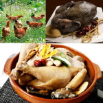 토종닭 2.4k내외 백숙 오골계 닭볶음 제사용 생닭 장닭 약초무료 당일손질 : 더 달구