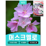 머스크멜로 멜로우 씨앗 30립 : JWon Flower
