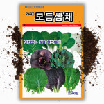 혼합 모듬 쌈채씨앗 쌈채소 종자 허브 종자 씨 : 씨앗팜