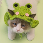 댕댕포유 강아지 고양이 케이프 : 댕댕포유