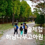 [숲체험] 하남 나무고아원 힐링 숲체험 / 깨비의 숲마을과 함께 떠나요 : 깨비의숲마을