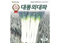 대풍외 대파씨앗 80g 대파재배파종 봄에심는작물 : 이삭그이레