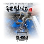 목포 뻘낙지 5마리 (무료배송) : 천사수산