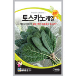 상추 모둠 종자 씨앗 쌈채소 샐러드 수경재배 [오디가 ODIGA] : 오디가 컴퍼니