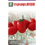 다농미니토마토효능키우기 TY큐티레드 10립 봄텃밭작물 : 이삭그이레