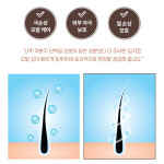 단백질트리트먼트 미용실트리트먼트 극손상 헤어 맥주효모 : 도모소모