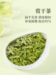 [1-5] 월주용정 명전 녹차 절강성 월주 특산 산차 약250g by 일배향 : 운남상회 티다차이
