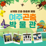 여주곤충박물관 / 경기도 거미 파충류 동물 체험 이천 인근 어린이 키즈 가볼만한곳 : 온오프믹스