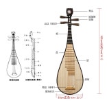 비파 악기 초보자 및 전문 플레이어를위한 경재 뼈 꽃 플라타너스 나무 패널 컬러 우드 백 : 늘봄1