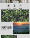 [7-1702] 2020년 대암춘 포랑고수병차 보이차 생병 약357g이하 by 수졸차창 : 운남상회 티다차이