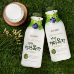 파스퇴르 강원청정목장 프리미엄골드 900ml 3개 : 파스퇴르우유 가정배달