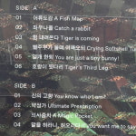 (미개봉, 투명바이닐) 이날치 1집 LP 수궁가 3051 : vintage record