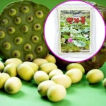 국내산 연자죽(분말) 1kg 선식 연자분말가루 영양식 : 굿즈앤유