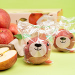 대경사과원예농협 안동 곰돌이 세척사과 2.5kg 14-16과 : ILGB