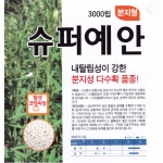 슈퍼예안 3000립 참깨씨앗 하니올 보급종 펠렛 코팅 종자 권농종묘 : 농사마트