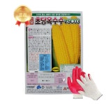 초당옥수수씨앗 2000립 초당옥수수씨 종자 아시아종묘 흥농팜아그로 : 흥농팜아그로