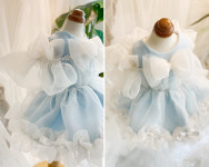 졸리쇼 아리아 강아지원피스,드레스 강아지옷 생일파티 : 졸리쇼