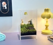 달토끼 이끼테라리움 키우기 DIY키트 만들기 천연가습기 데스크 플랜테리어 집들이화분 : 만나림