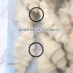 브리도 크로와상 생지 70g 대용량 (2팩) 발효가 필요없는 프랑스 냉동생지 : 또와몰53