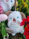 힘내 응원 인형 응원하고싶어 15cm 강아지 토끼 고양이 수달 요정 동물 애착 인형 : 소소 HAPPY