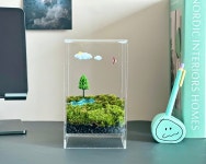 나홀로나무 이끼테라리움 키우기 레진아트 DIY키트만들기 플랜테리어 집들이화분 잘안죽는식물 : 아드올람