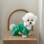 리틀콜린 테니스독 스웻수트_ Green : 철수마켓