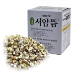고려수지침학회 서암뜸 -중 1000pcs 구암 구점지포함 알뜸 수지뜸 : 으뜸 헬스케어