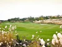 [제주골프/1박2일]엘리시안CC36H : GOLMACATOUR