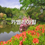 제주 카멜리아힐 입장권 : 가자제주닷컴