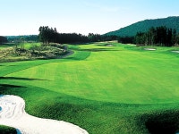 [제주골프/1박2일]사이프러스CC36H : GOLMACATOUR