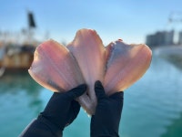 울산 방어진 용가자미 대사이즈 6미 한세트 참가자미 손질가자미 자연산 가자미 : 33호수산