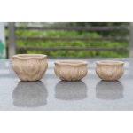 찻잔 의흥 자사 수제 연봉배 명품 차 컵 : 차의 정원