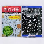 흰강낭콩 검정강낭콩 웰빙 소포장 주말농장 씨 씨앗 종자 : 씨앗공장