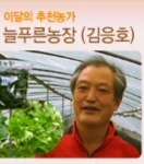 25년 일월산 자연산 두릅 참두릅 유기농 자연산 산지직송 : 영양 늘푸른농장