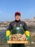 [품질보증]당일조업 동해안 살아있는 제철 백골뱅이 1KG (백고동) : 구룡포대해수산