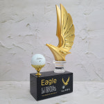 이글패 이글트로피 샷이글 골프트로피 46 : 백상어워드